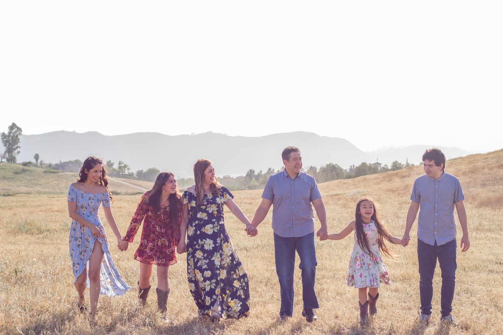 Family walking hand in hand through golden field